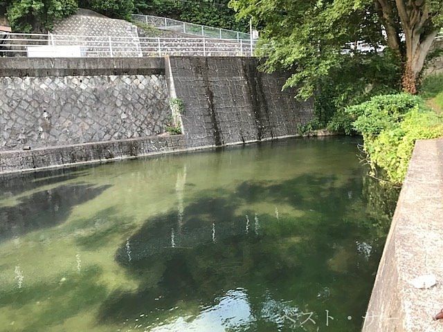 岡山市内を流れる灌漑用水の源