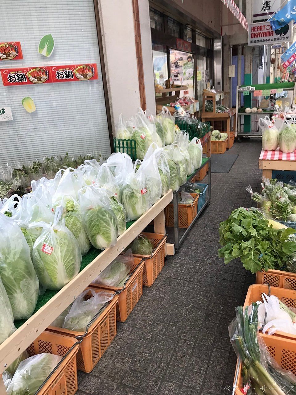かもがわの名物白菜/円城道の駅の近くに白菜の加工場があり「キムチ」も製造しています