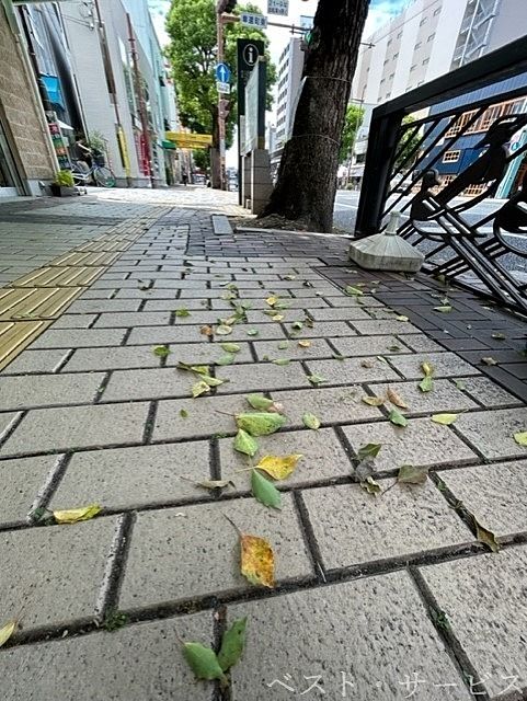 奉還町商店街東口,街路樹から大量の葉っぱが降る,クスベニヒラタカスミカメムシ