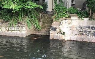 涼を生む水辺の風景--梅雨どき--